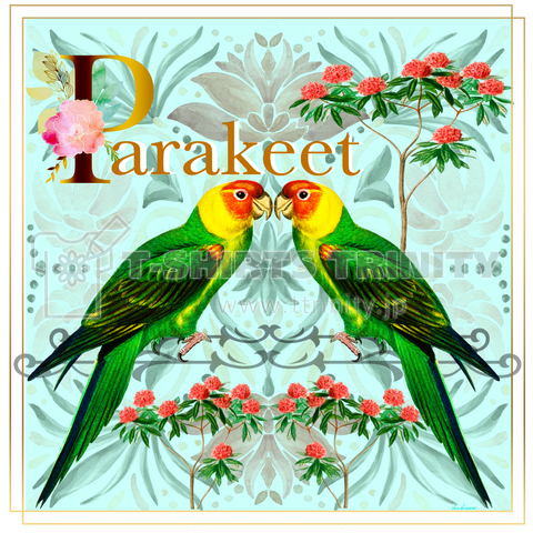 Parakeet