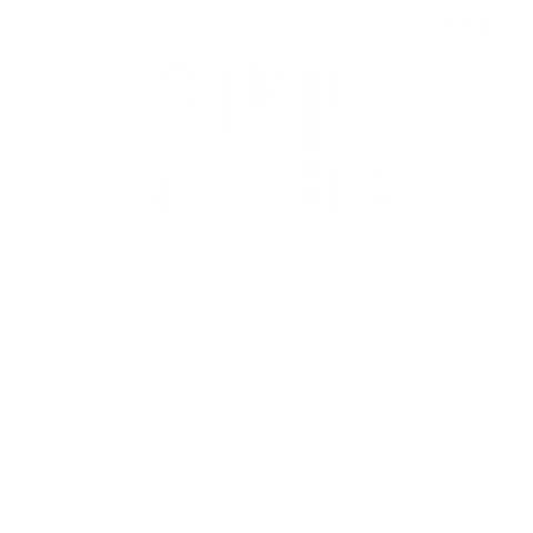 番号「九番」白