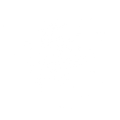 エンジン