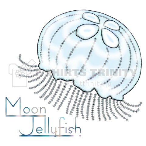 Moon jellyfish ~クラゲ~