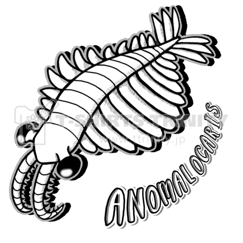 Anomalocaris(アノマロカリス) バックプリント