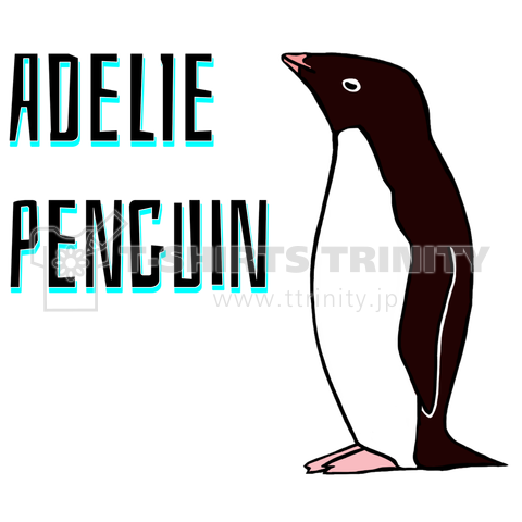 Adelie penguin(アデリーペンギン)