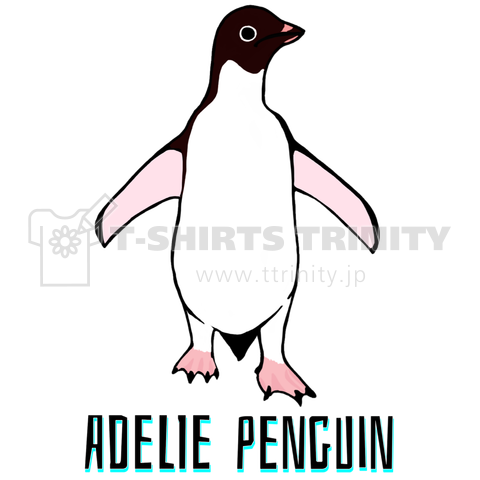 Adelie penguin(アデリーペンギン)2号