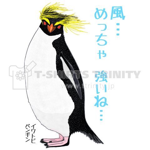 風に吹かれるイワトビペンギンさん(文字ありバージョン)