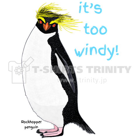 Rockhopper penguin (イワトビペンギン) バックプリント