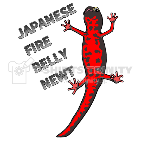 JAPANESE FIRE BELLY NEWT (アカハライモリ)