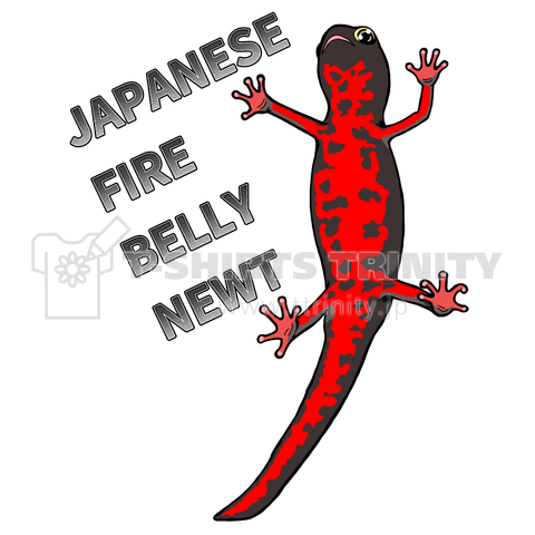 JAPANESE FIRE BELLY NEWT (アカハライモリ) バックプリント