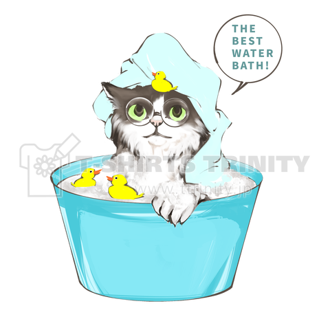 水風呂猫