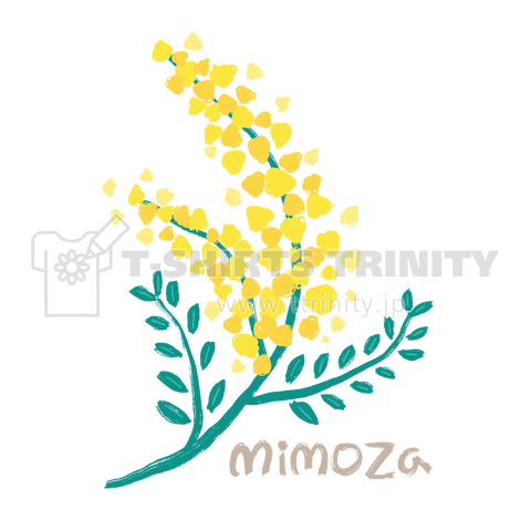 mimoza