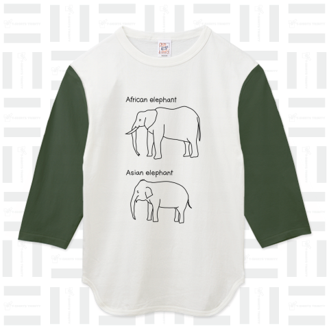 アフリカ象とアジア象