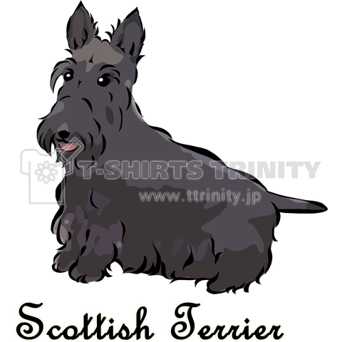 スコティッシュテリア 犬種シリーズ