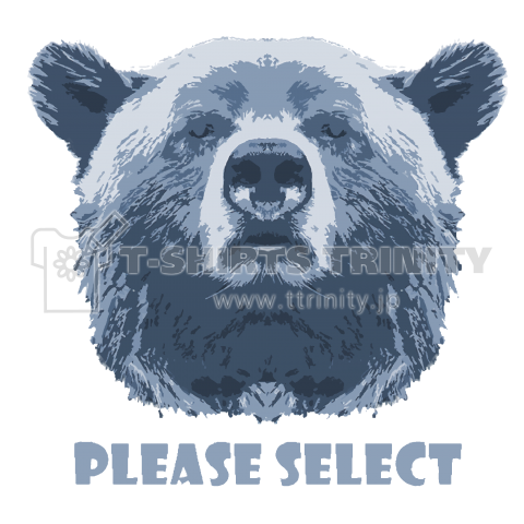 PLEASE SELECT BEAR