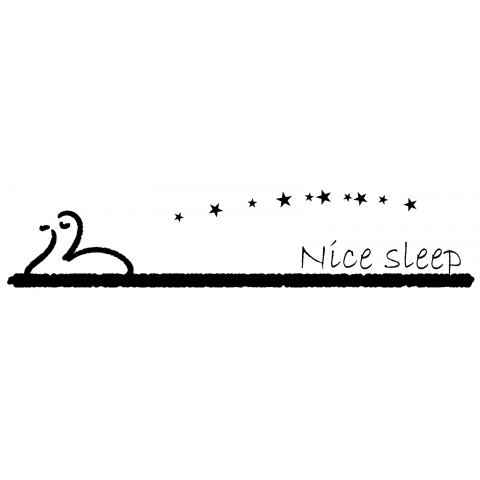 Nice sleep