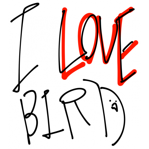 I LOVE BIRD