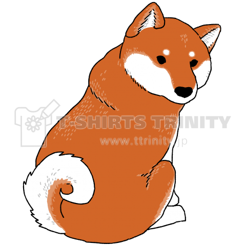 振り向き柴犬 赤毛 デザインtシャツ通販 Tシャツトリニティ