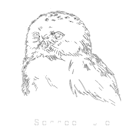 schnee-eule-2w