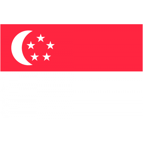 シンガポール Singapore 国旗 Flag フラッグ シンプル ボーダー カラフル 図形 ドット 地図 イベント 野球 サッカー 記号 線 模様 星柄 時事 政治 デザインtシャツ通販 Tシャツトリニティ