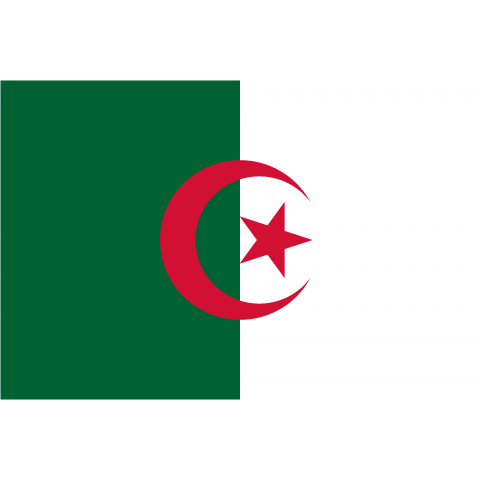 アルジェリア--ALGERIA--    {・国旗,flag,フラッグ,シンプル,ボーダー,カラフル,図形,ドット,地図,イベント,野球,サッカー,記号,線,模様,柄,時事,政治・}