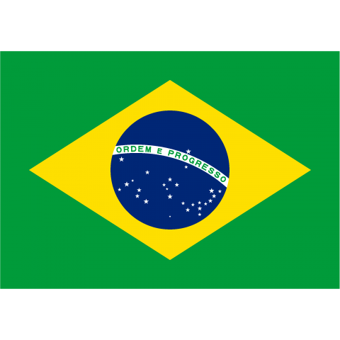 ブラジル Brazil 国旗 Flag フラッグ シンプル ボーダー カラフル 図形 ドット 地図 イベント 野球 サッカー 記号 線 模様 柄 時事 政治 デザインtシャツ通販 Tシャツトリニティ