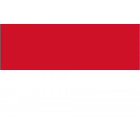 インドネシア Indonesia 国旗 Flag フラッグ シンプル ボーダー カラフル 図形 ドット 地図 イベント 野球 サッカー 記号 線 模様 柄 時事 政治 デザインtシャツ通販 Tシャツトリニティ