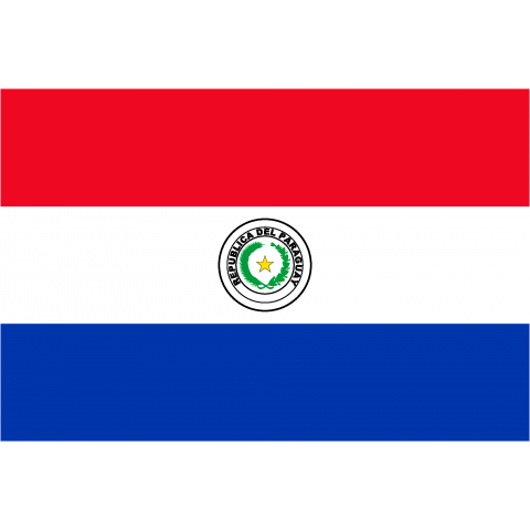 パラグアイ Paraguay 国旗 Flag フラッグ シンプル ボーダー カラフル 図形 地図 イベント 野球 サッカー 線 模様 星柄 時事 政治 デザインtシャツ通販 Tシャツトリニティ