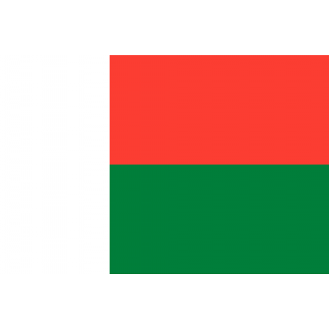 マダガスカル Madagascar 国旗 Flag フラッグ シンプル ボーダー カラフル 図形 ドット 地図 イベント 野球 サッカー 記号 線 模様 星柄 時事 政治 デザインtシャツ通販 Tシャツトリニティ