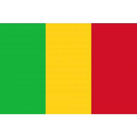 マリ Mali 国旗 Flag フラッグ シンプル ボーダー カラフル 図形 レゲエ ラスタ 地図 イベント 野球 サッカー Rasta 線 模様 星柄 時事 政治 デザインtシャツ通販 Tシャツトリニティ