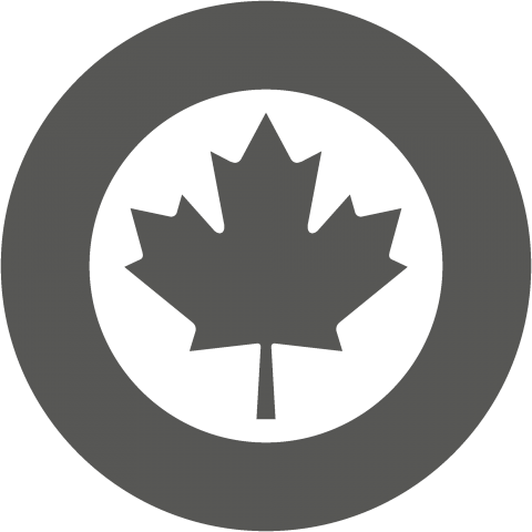 低認識型国籍マーク カナダ Canada Roundel Flag フラッグ ターゲットマーク 国旗 軍隊 記号 線 模様 北米 ロゴ デザインtシャツ通販 Tシャツトリニティ