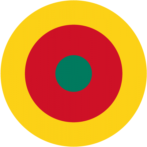 国籍マーク カメルーン Cameroon Roundel Flag フラッグ ターゲットマーク 国旗 軍隊 記号 線 模様 アフリカ Africa ロゴ デザインtシャツ通販 Tシャツトリニティ