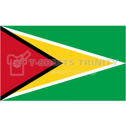ガイアナ--Guyana-- {・国旗,flag,フラッグ,シンプル,ボーダー,カラフル,図形,ドット,地図,イベント,野球,サッカー,記号,線,模様,星柄,時事,政治・}
