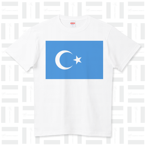 東トルキスタン