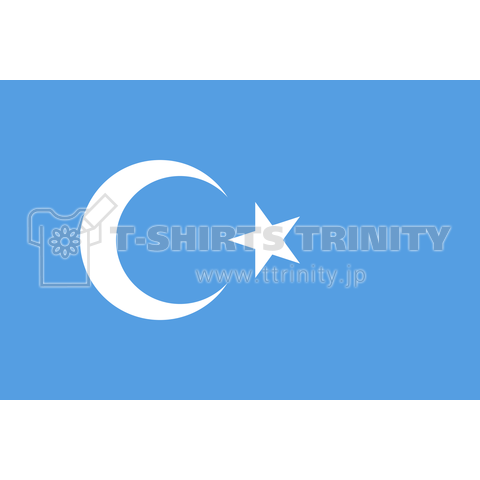 東トルキスタン共和国の国旗-flag of Kokbayraq-