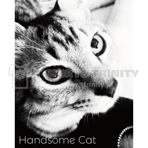 Handsome Cat (ハンサムキャット)01