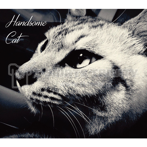 Handsome Cat (ハンサムキャット)03