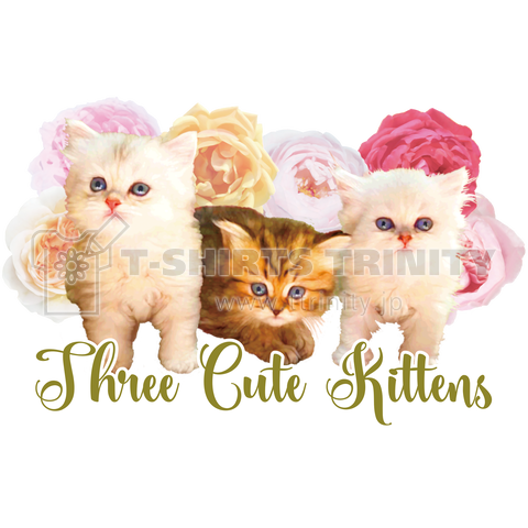Three Cute Kittens
