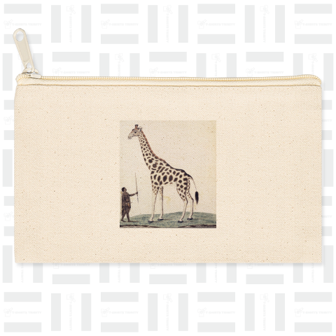 キリン(Giraffa Camelopardalis)、ロバート・ジェイコブ・ゴードン、1779年