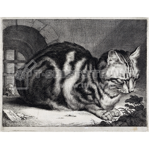 Big cat, Cornelis Visscher (II), 1657