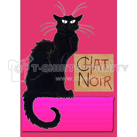 CHAT NOIR Pi