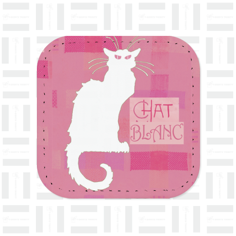 chat blancー白猫さん