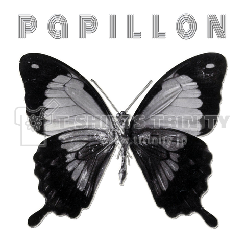 papillonー2