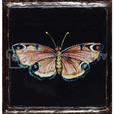 Butterfly, anonymous, c. 1790 - c. 1830