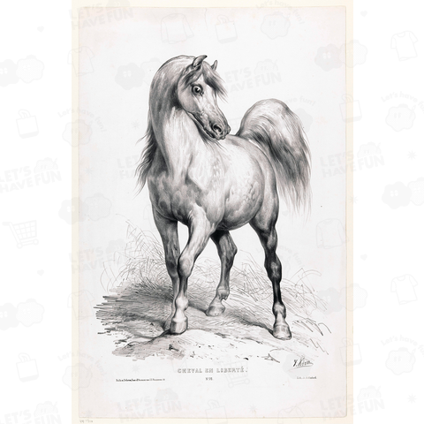 Free horse, Victor Adam, 1843 - 1844