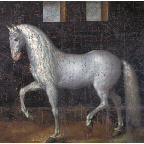 スペインの戦闘種馬、ジャック・ド・ゲイン(2世)、1603年(切り抜き)