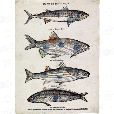 4匹の美しい魚たち、エルヴェン・デ・ウィドウ・ヤコブス・ヴァン・エグモント、1761～1804年