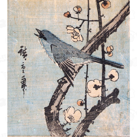 梅の枝に鶯  歌川 広重 1843～1844