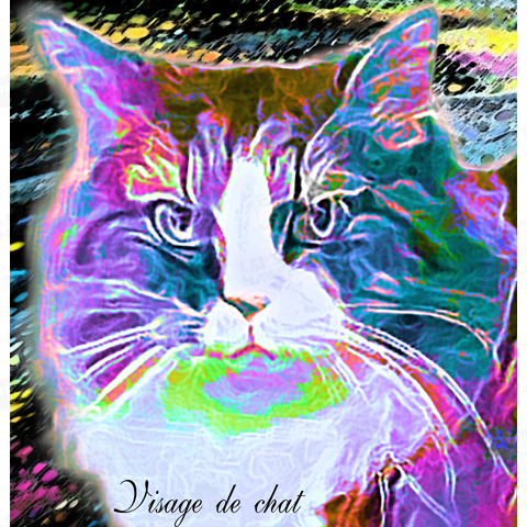 Visage de chat