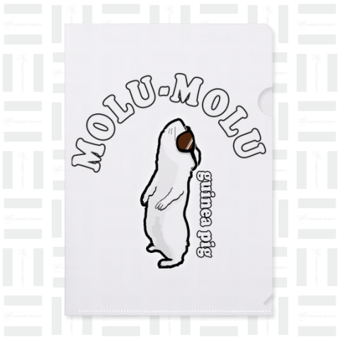 MOLU-MOLU1、●サングラス