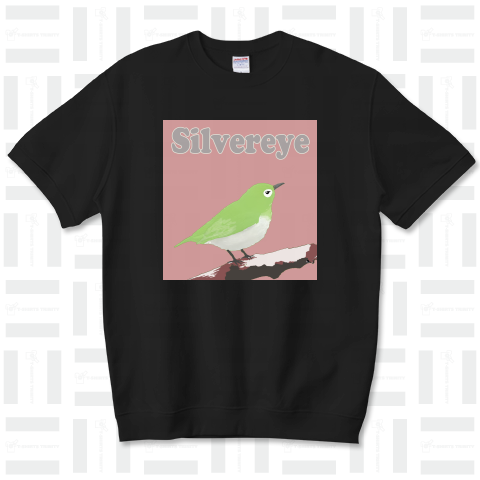 silvereye(メジロ)