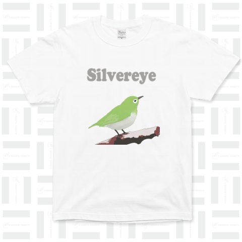 silvereye(メジロ) 2
