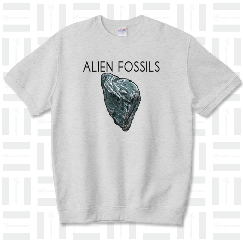 Alien fossils